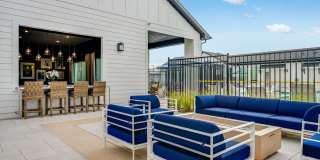 Yardly Elm Gallery 23