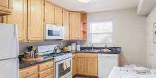 Metropolitan Collingswood Gallery 7