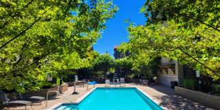 Stunning 2 Bed 2 Bath Penthouse Condo in Los Altos.  Great Schools and Location! Gallery 3