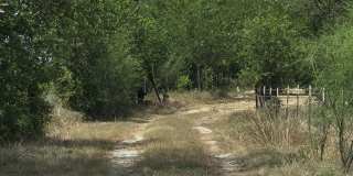 8279 Green Valley Road - 1 Gallery 1