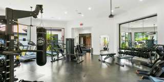 SolVida Central Gallery 5