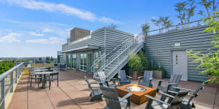 The Whittaker Gallery 27