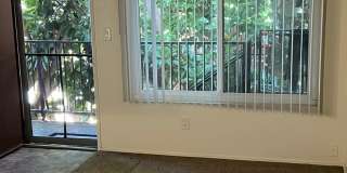 Port Au Fina (Saratoga Ave.) Gallery 3