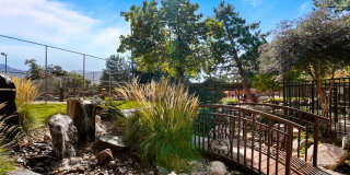 Royal Ridge Royal Ridge Gallery 27