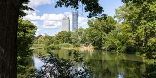 J VUE at the LMA Gallery 81