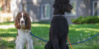 Sierra Vista Apartments Gallery 11