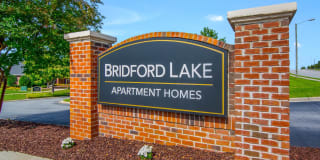Bridford Lake Gallery 25