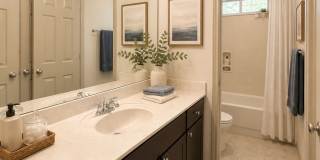 4 Bed House - North of UT Campus Gallery 18
