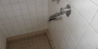1311 Freeland Place #2 Freeland Place 1311 Freeland Place #2 Freeland Place Gallery 7