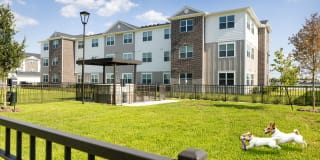 Allora District West Gallery 14