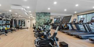 AVA Burbank Gallery 33