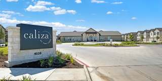 Caliza at the Loop Gallery 24