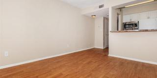 Sunset Place Gallery 43