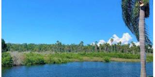 Coral Key Gallery 10