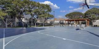 Callaway Apartments Gallery 37