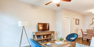 Steeplechase at Parkview Gallery 5