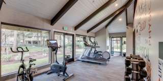 The Commons Gallery 24