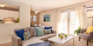 SpringBrook Gallery 2