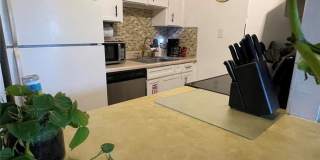 239 S MCMULLEN BOOTH ROAD Gallery 13