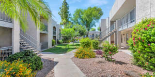 Miramonte Gallery 45