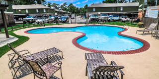 Spring Pine Gallery 22