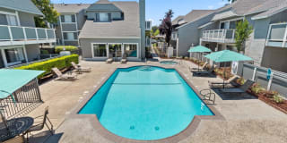 Shadow Creek Gallery 1