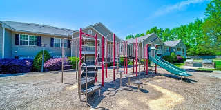 Ivy Hollow Gallery 15