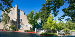 Waterscape Gallery 5