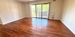 1502 THE WOODS Gallery 7