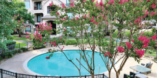 Village on the Parkway Apartments Gallery 28