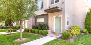 Olympus at The District Gallery 43