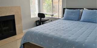 22414 Scarlet Sage Way Gallery 24