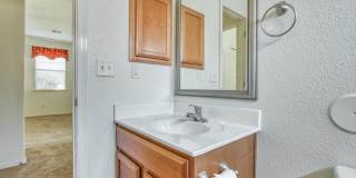 14227 BLUESKY POINT Court Gallery 18