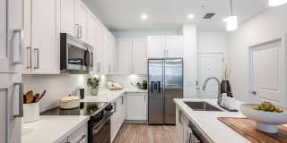 Northhaven Gallery 24