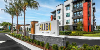 The ALIBI at Lake Lilly Gallery 38