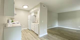 Sunny Creek Gallery 8