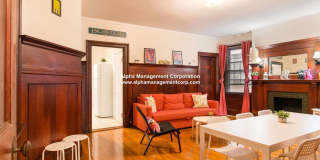 Amazing Coolidge Corner Apt right by T, Shopping, Nightlife and Restaurants.  Quick commute to BU! Gallery 11