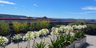 Queen Anne Flats Gallery 18
