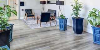 Magnolia Terrace Gallery 22