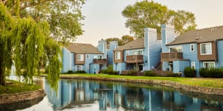 Lantern Cove Gallery 3