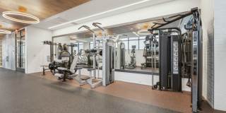 Solaire 8200 Dixon Gallery 28