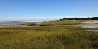 Furnished Two-Bedroom Coastal Condo | North End of Hilton Head Gallery 11