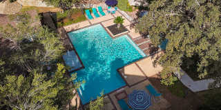 Oak Springs Gallery 6