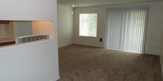 Birch Meadow Gallery 4