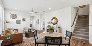 Canvas at Anna Gallery 45