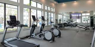 Emory West Cypress Gallery 21