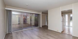 115 Moss Avenue Gallery 21