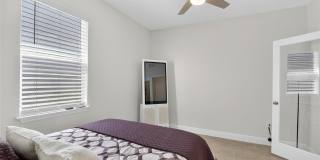 152 BRIGHT IBIS Avenue Gallery 9