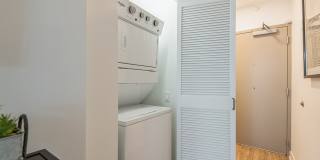 Arrive Michigan Avenue Gallery 26