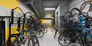 Motion at Dadeland Gallery 31